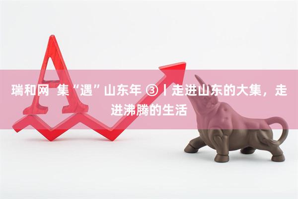 瑞和网  集“遇”山东年 ③丨走进山东的大集，走进沸腾的生活