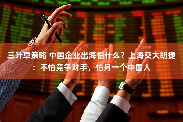 三叶草策略 中国企业出海怕什么？上海交大胡捷：不怕竞争对手，怕另一个中国人